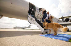 Dog-Friendly Airlines